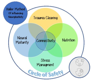 Haller Method Visual